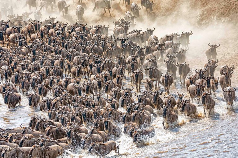 Serengeti National Park