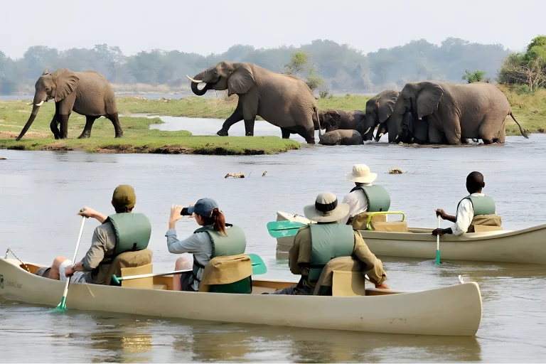 Arusha National Park