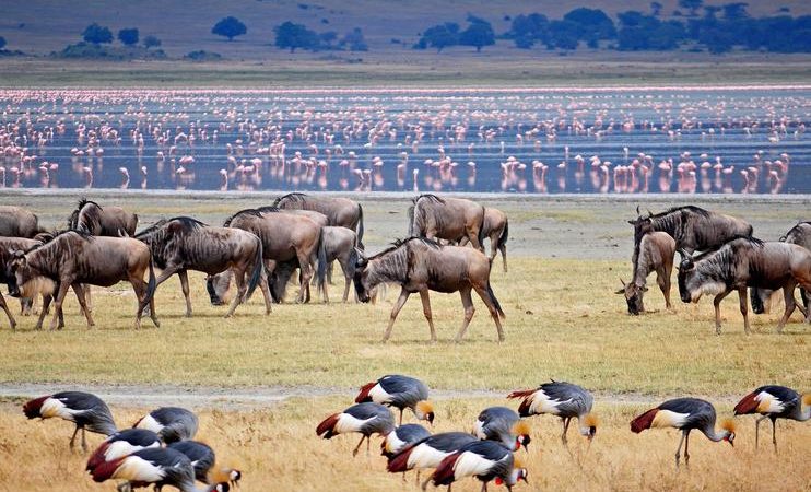 Lake Manyara National Park