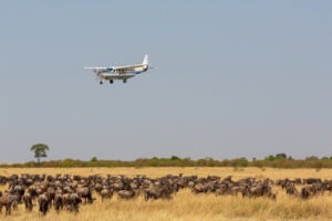 5 DAYS FLY MARA RIVER TO ZANZIBAR