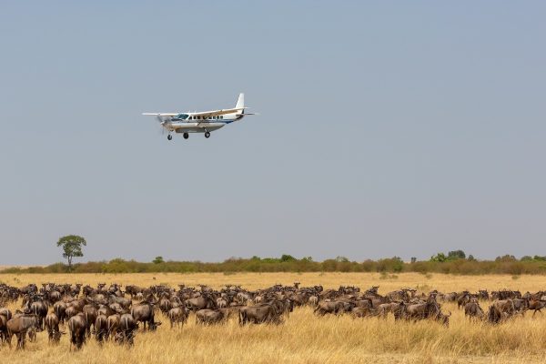 Fly-in-Safari-Tanzania